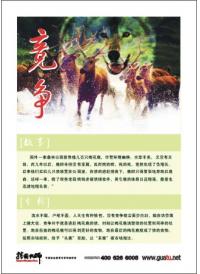企業(yè)管理小故事 競(jìng)爭(zhēng)