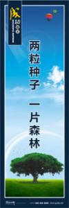 激勵(lì)員工標(biāo)語(yǔ) 兩粒種子，一片森林