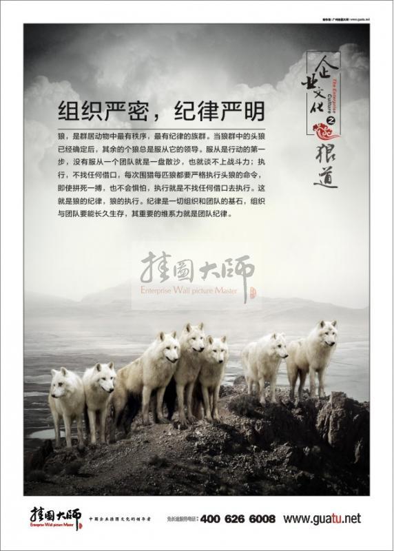狼道-組織嚴密，紀律嚴明