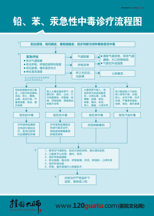 鉛、笨、汞急性中毒診療流程圖 醫(yī)院急救流程
